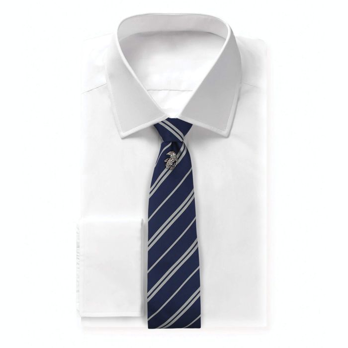 Harry Potter - Ravenclaw Tie Deluxe Edition with Pin