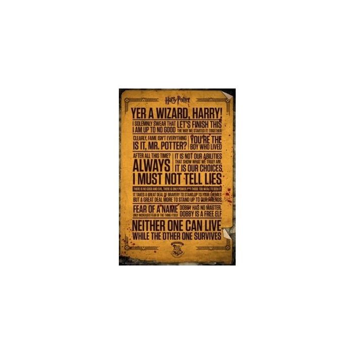 Harry Potter: Quotes Poster