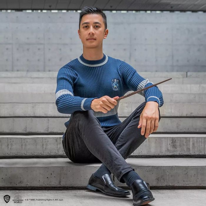Harry Potter - Ravenclaw Quidditch Sweater / Trui