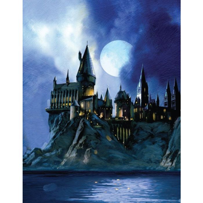Harry Potter - Hogwarts Castle 3D Pop-Up Greeting Card