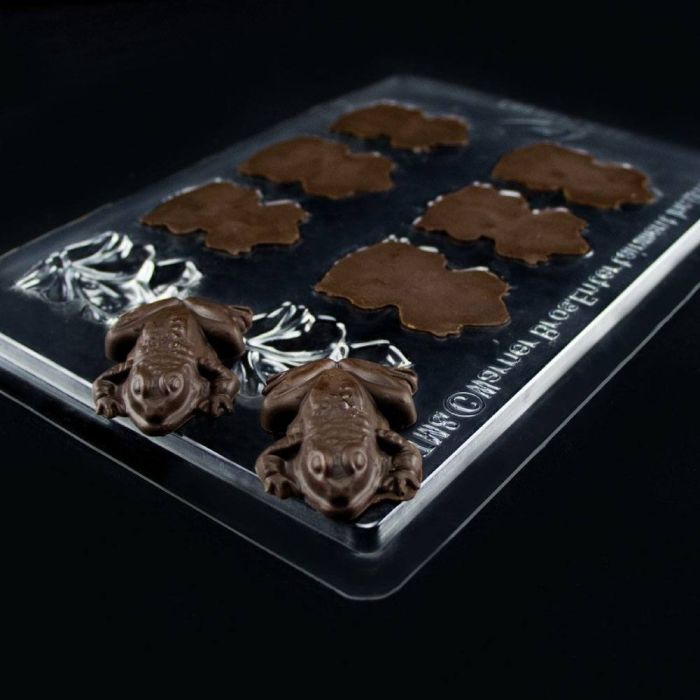 Harry Potter - Chocolate Frog Mold / Chocolade Kikkers