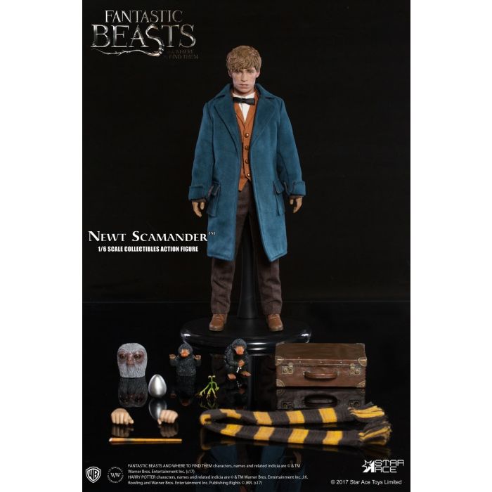 Fantastic Beast and Where to Find Them: Newt Scamander 1:6 Scale Star Ace Figure