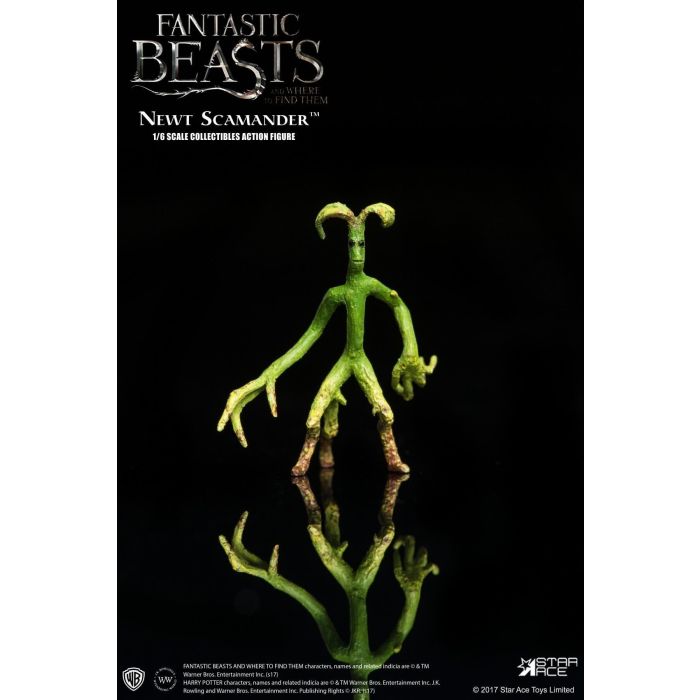 Fantastic Beast and Where to Find Them: Newt Scamander 1:6 Scale Star Ace Figure