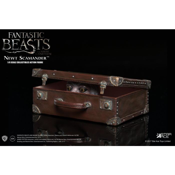 Fantastic Beast and Where to Find Them: Newt Scamander 1:6 Scale Star Ace Figure