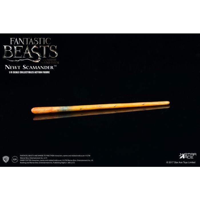 Fantastic Beast and Where to Find Them: Newt Scamander 1:6 Scale Star Ace Figure