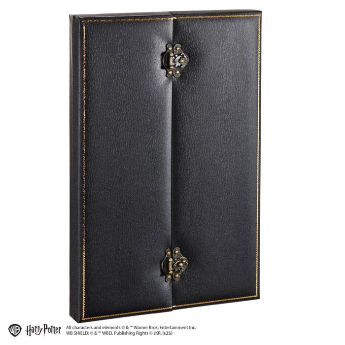 Harry Potter Replica 1/1 Cursed Opal Necklace 56 cm