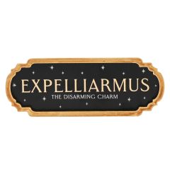 Harry Potter - Expelliarmus Wall Decoration