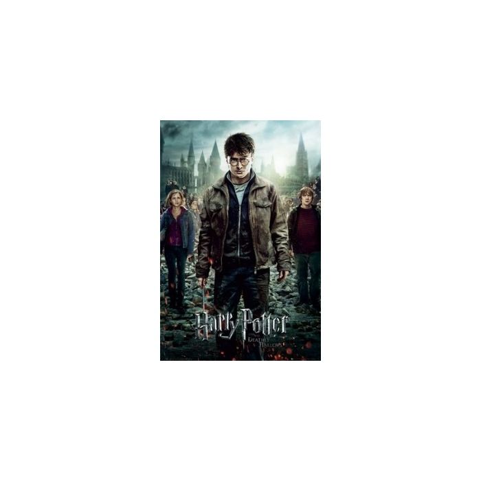 Harry Potter: Deathly Hallows Part 2 Poster