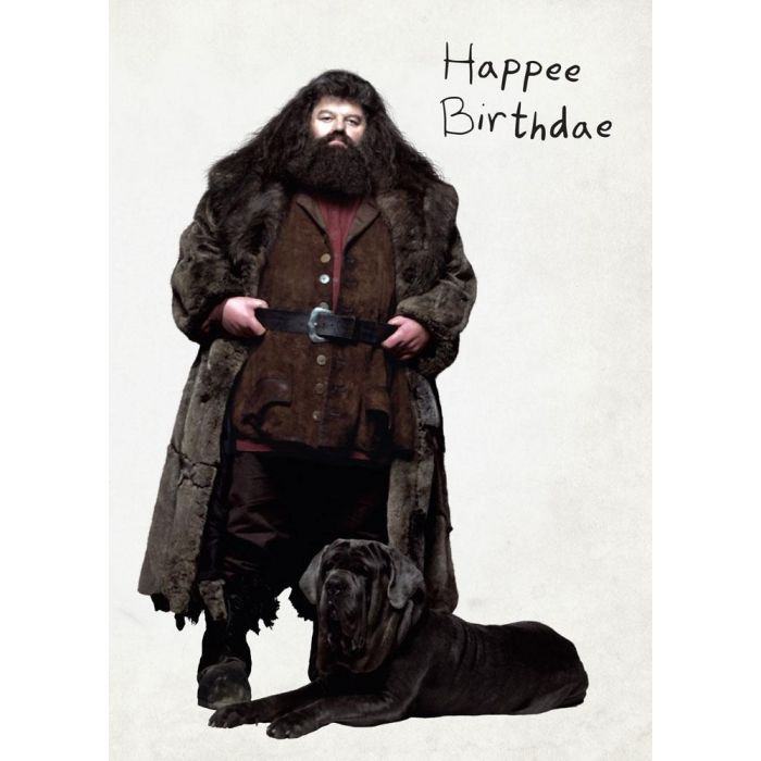 Harry Potter - Birthday Cake 3D Pop-Up Greeting Card