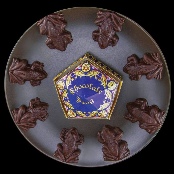 Harry Potter - Chocolate Frog Mold / Chocolade Kikkers