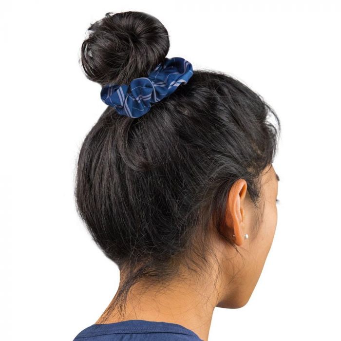 Harry Potter - Ravenclaw Classic Hair Accessories